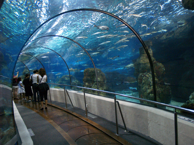 L'aquàrium Barcelona