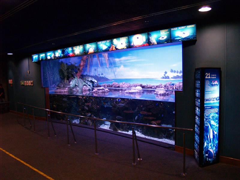 L'aquàrium Barcelona