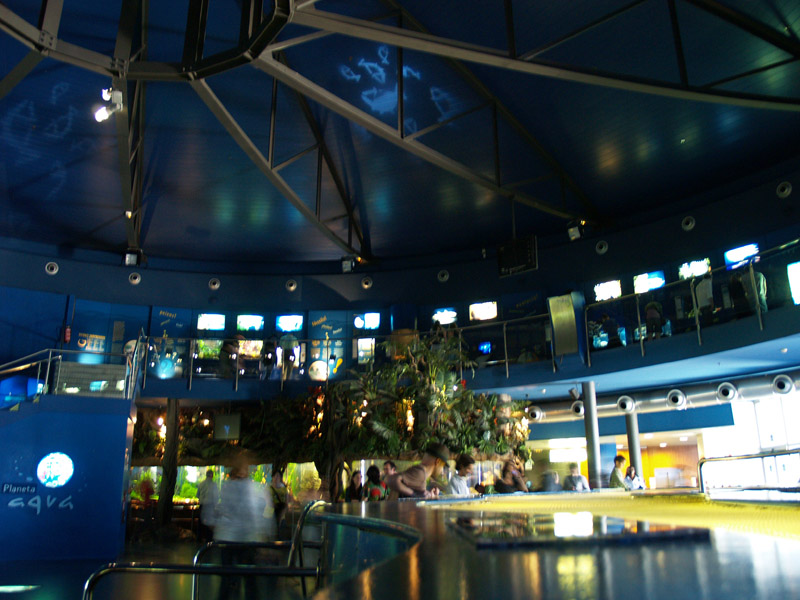 L'aquàrium Barcelona