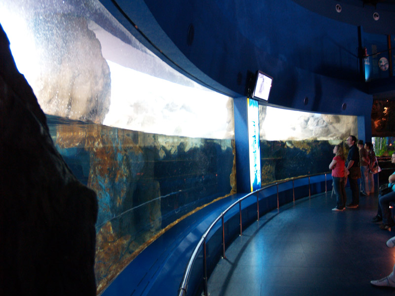 L'aquàrium Barcelona