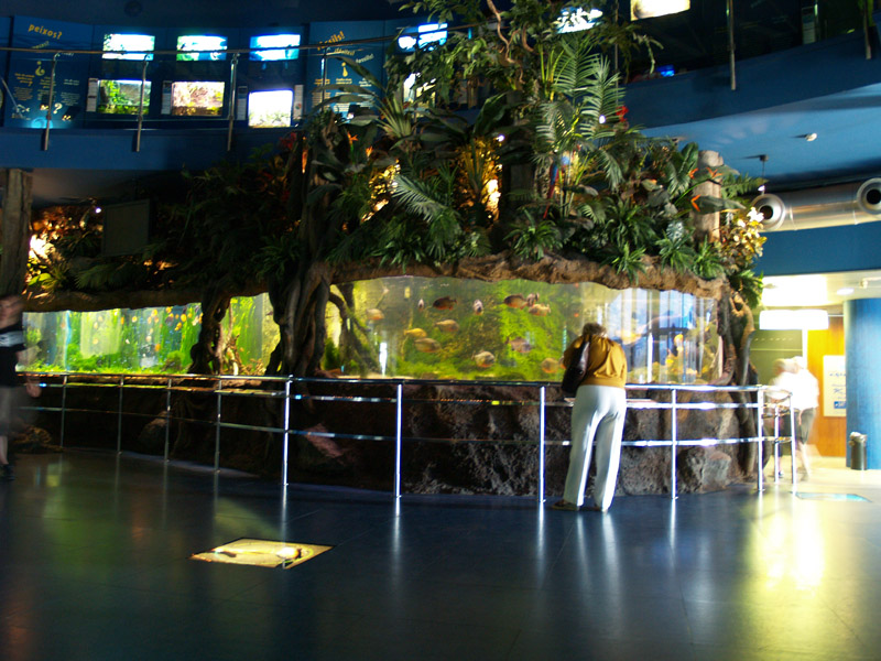 L'aquàrium Barcelona
