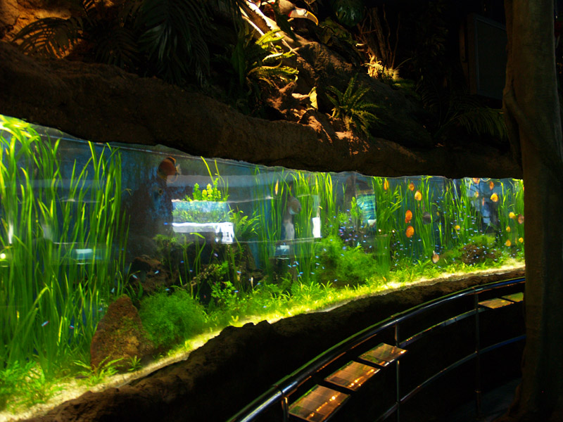 L'aquàrium Barcelona