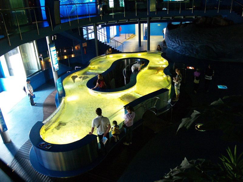 L'aquàrium Barcelona