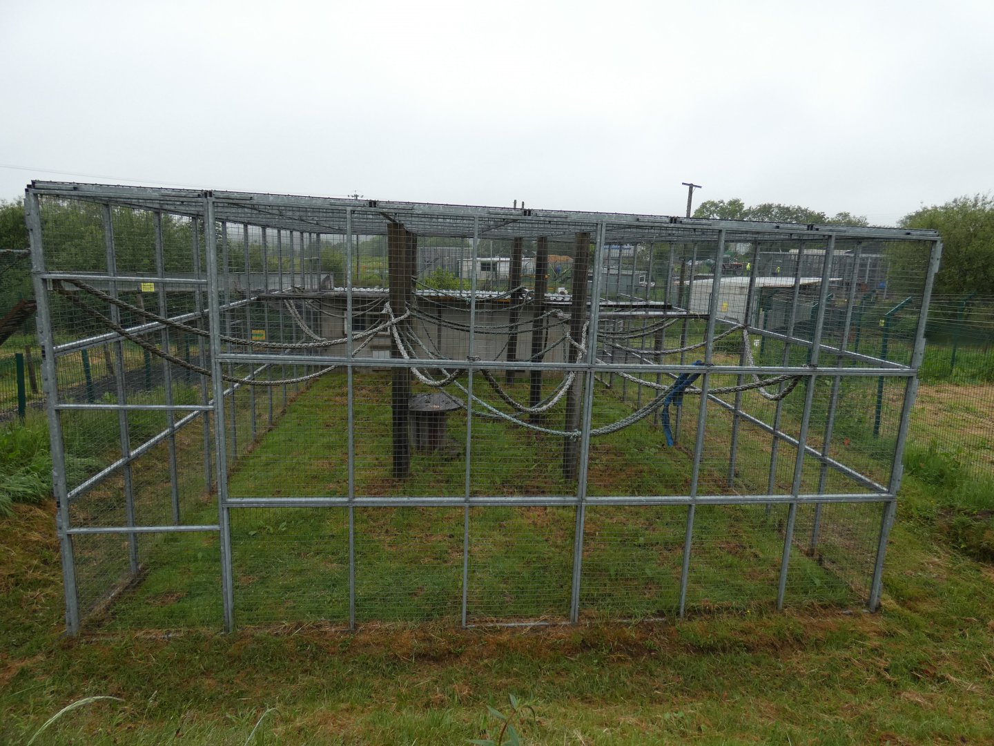 Lar and hybrid gibbon enclosure