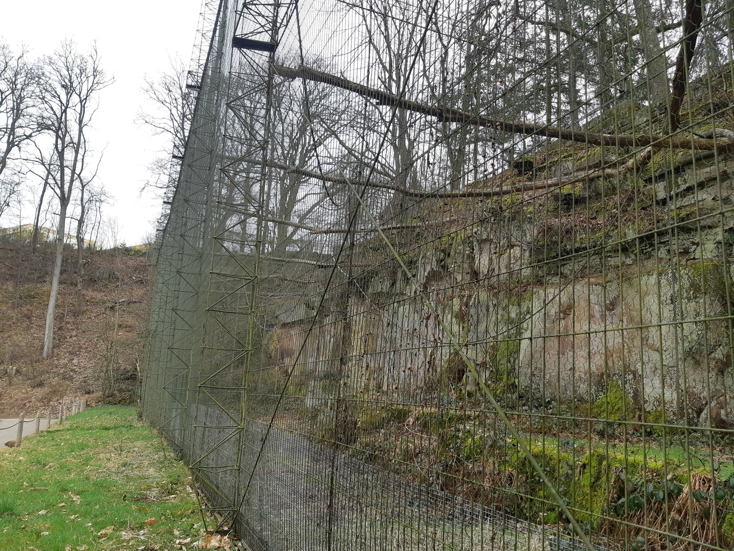 Lar exhibit - Zoo Saarbrücken