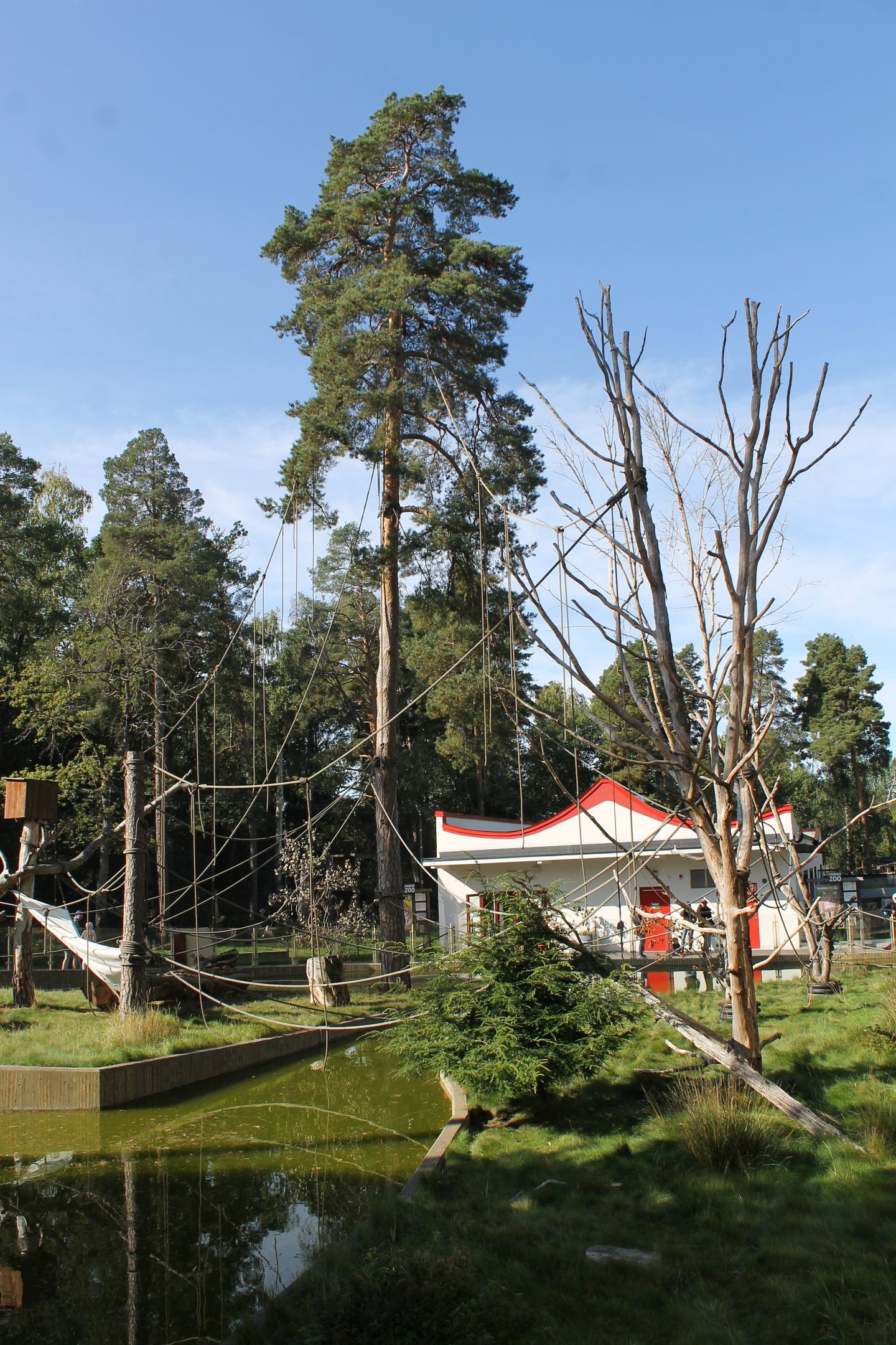 Lar gibbon & Asian small-clawed otter exhibit.