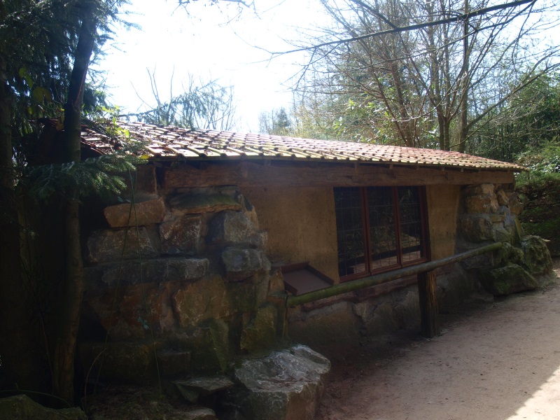 Lar gibbon building (April 19th, 2015)