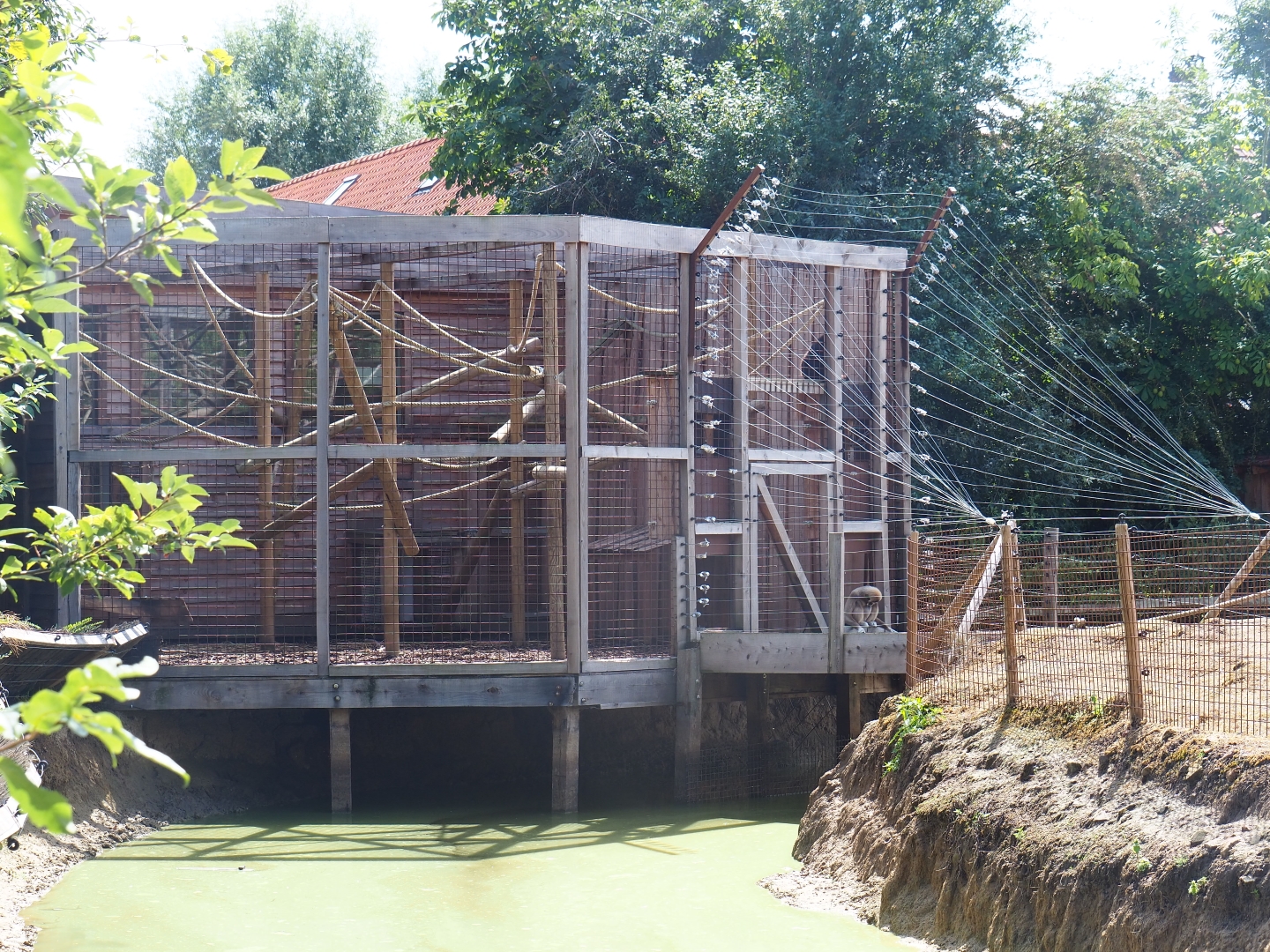 Lar gibbon cage and island access