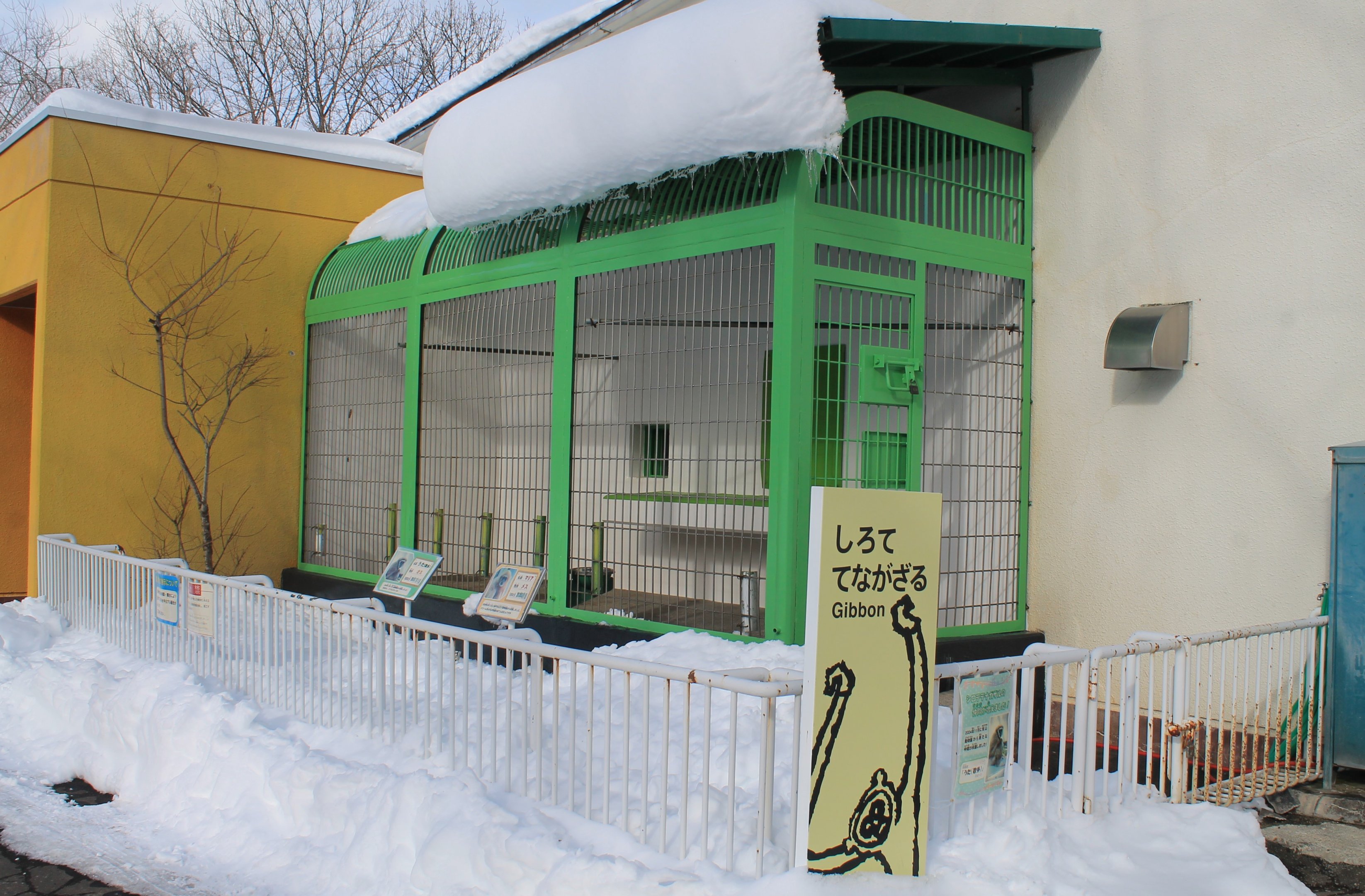 Lar Gibbon cage, Kushiro Zoo