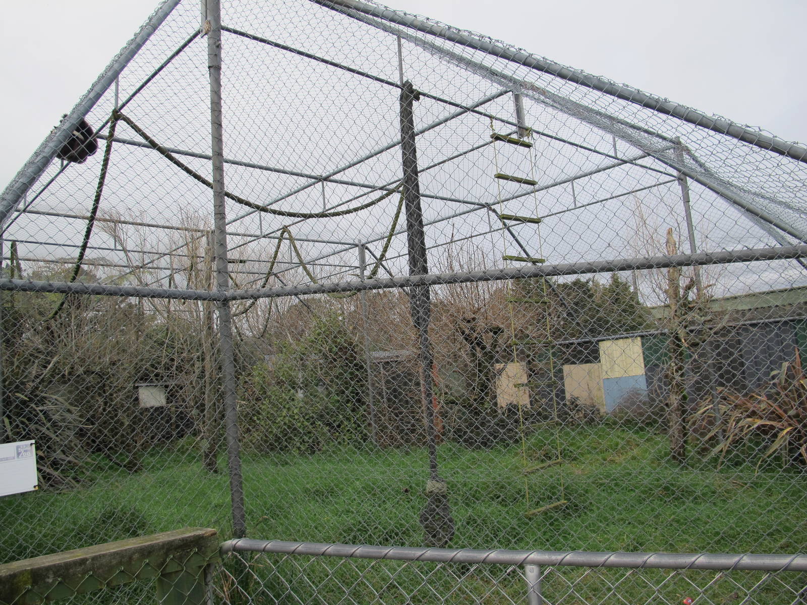 Lar Gibbon Cage - Pouakai Zoo