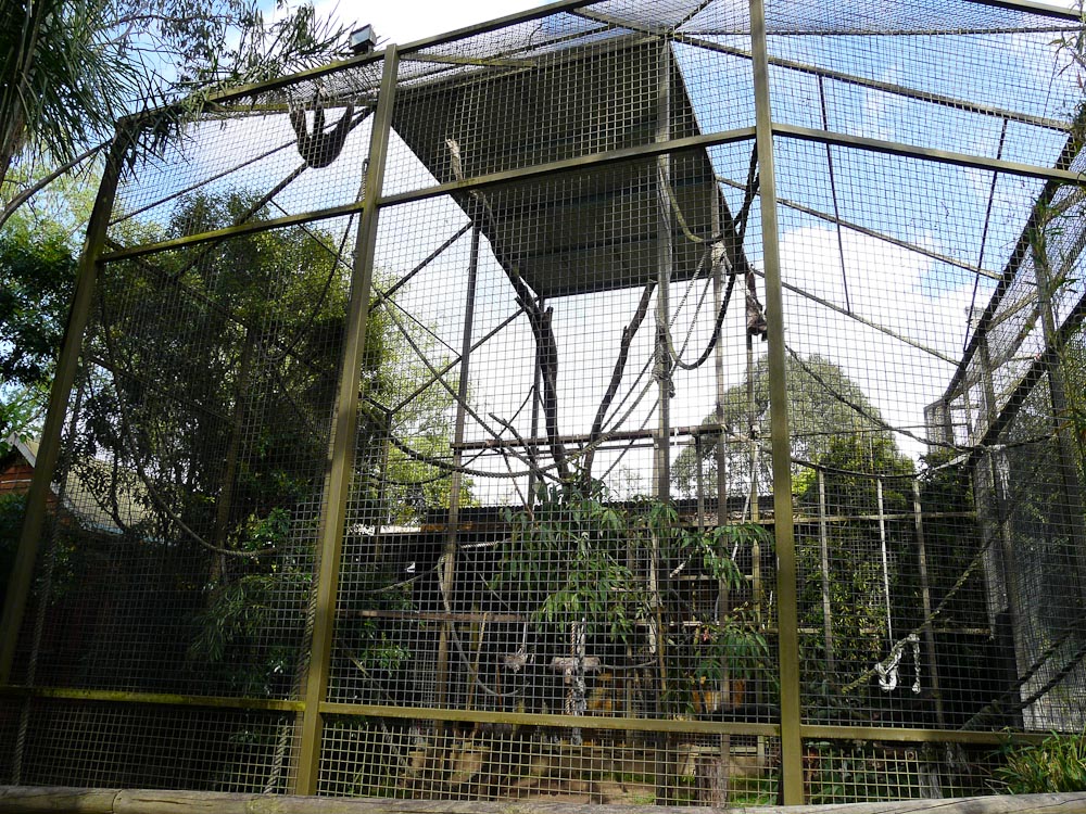 Lar Gibbon cage