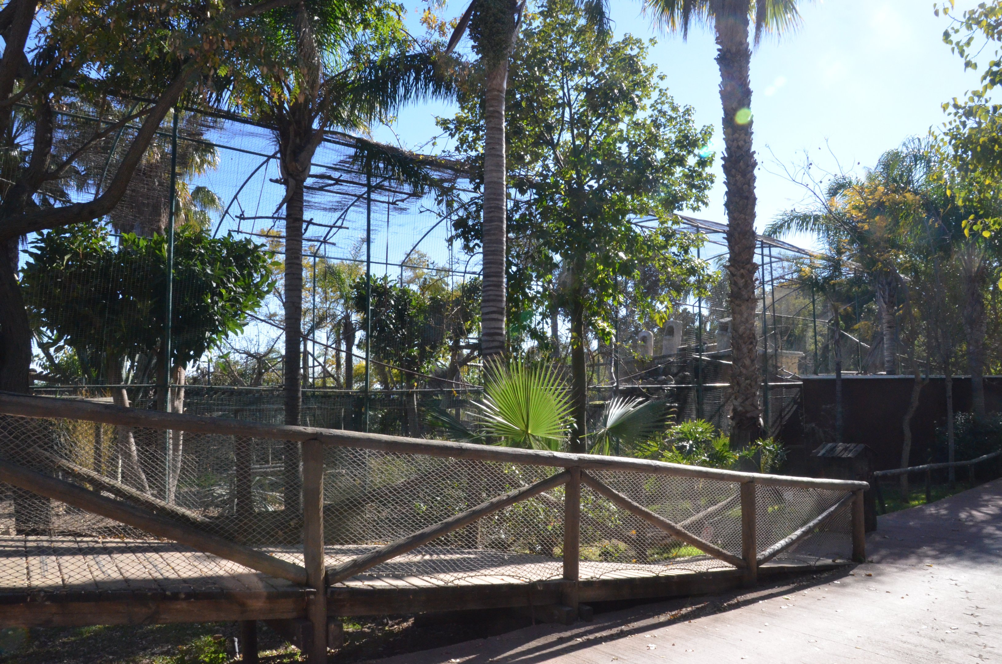 Lar Gibbon, Crested Myna and Golden Pheasant Enclosure at Selwo Aventura, 13/03/19