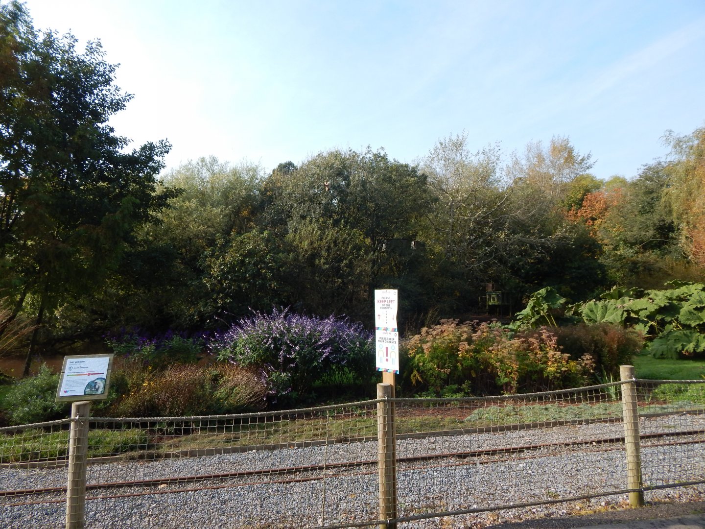 Lar gibbon enclosure 181020