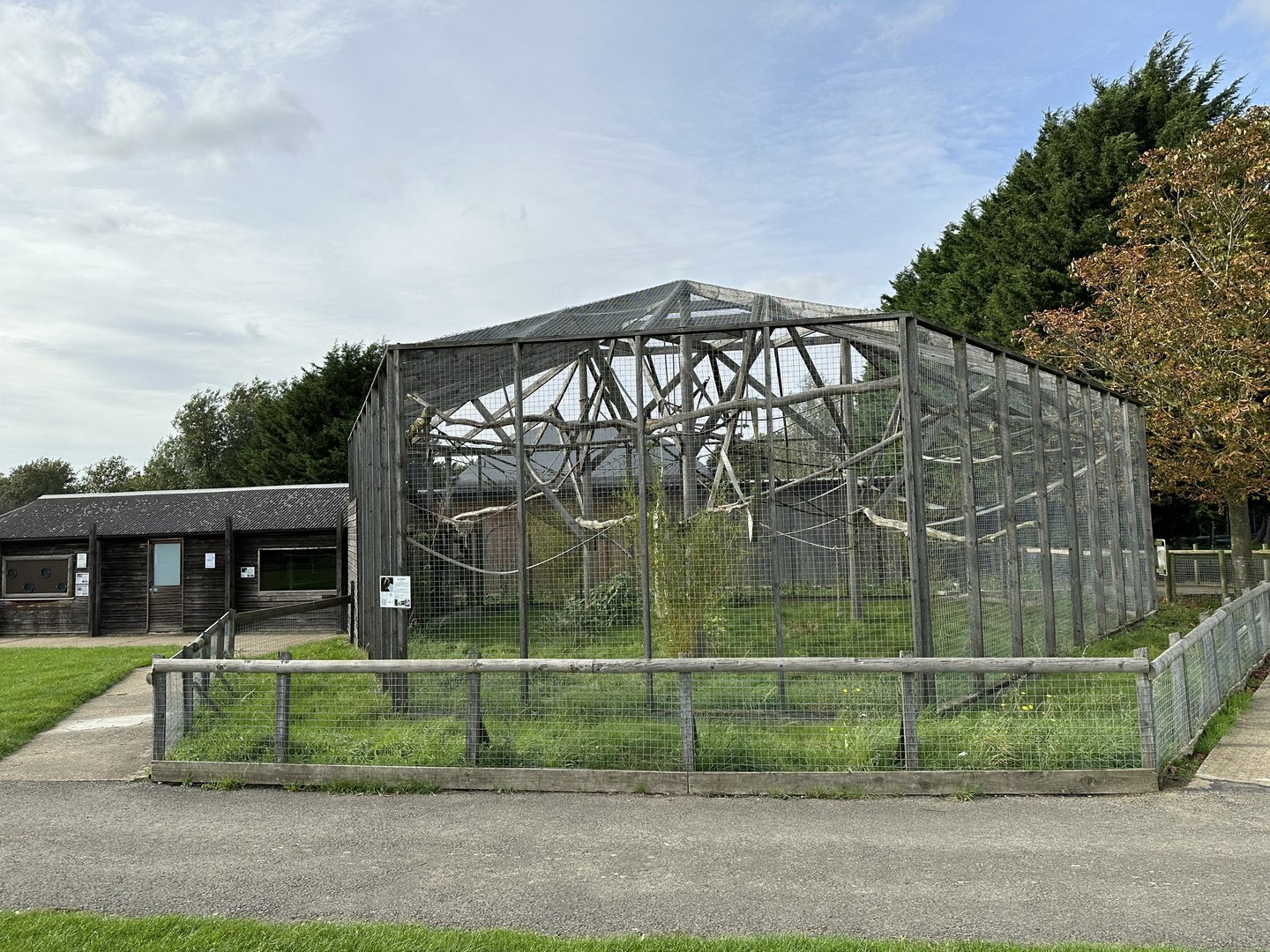 Lar Gibbon Enclosure at Hamerton Zoo Park (October 2023)