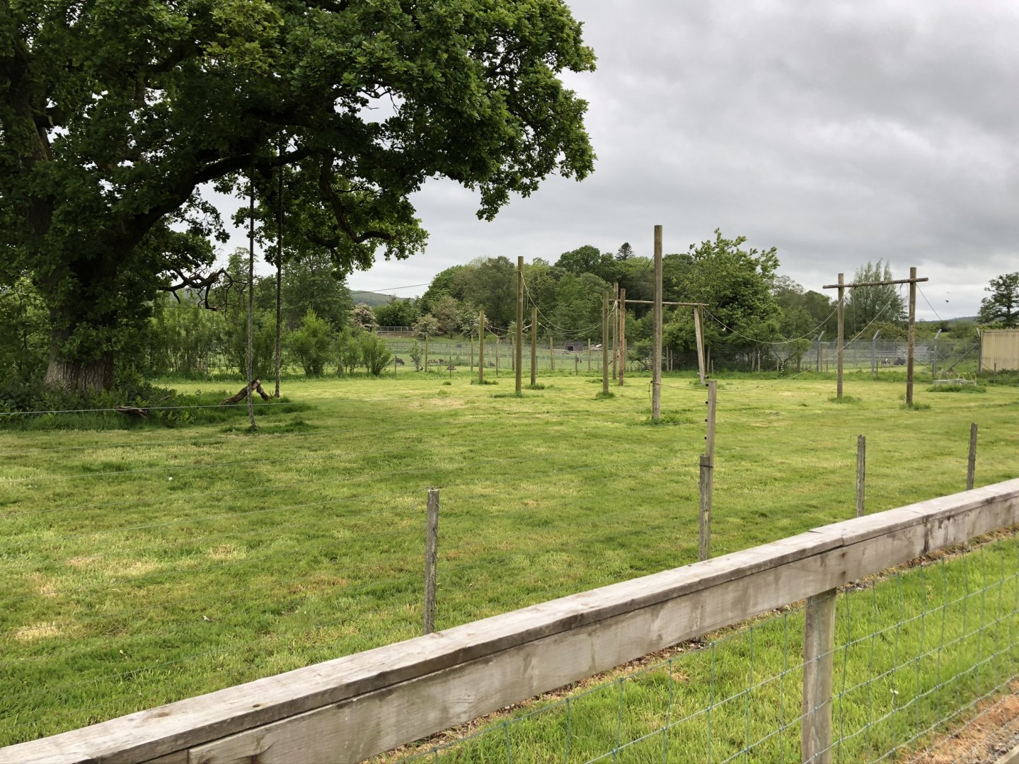 Lar Gibbon Enclosure at Lake District Wildlife Park (May 2019)