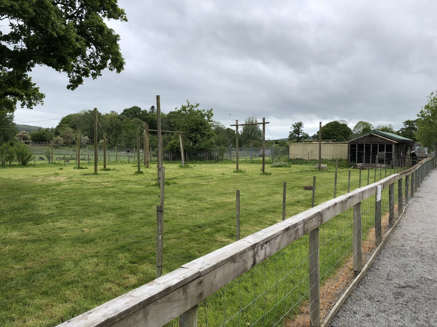 Lar Gibbon Enclosure at Lake District Wildlife Park (May 2019)