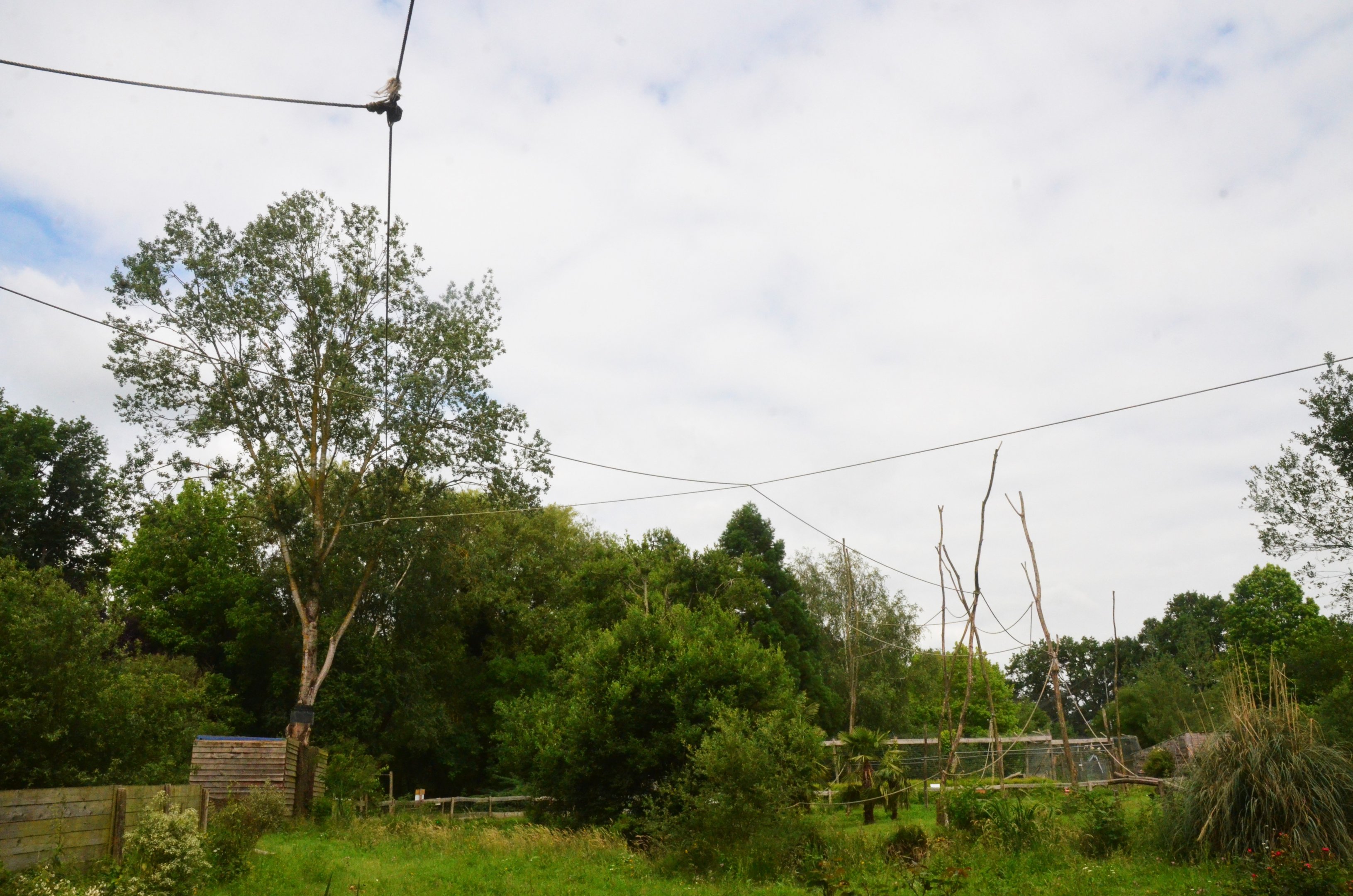 Lar Gibbon Enclosure at Spaycific'Zoo, 13/06/18