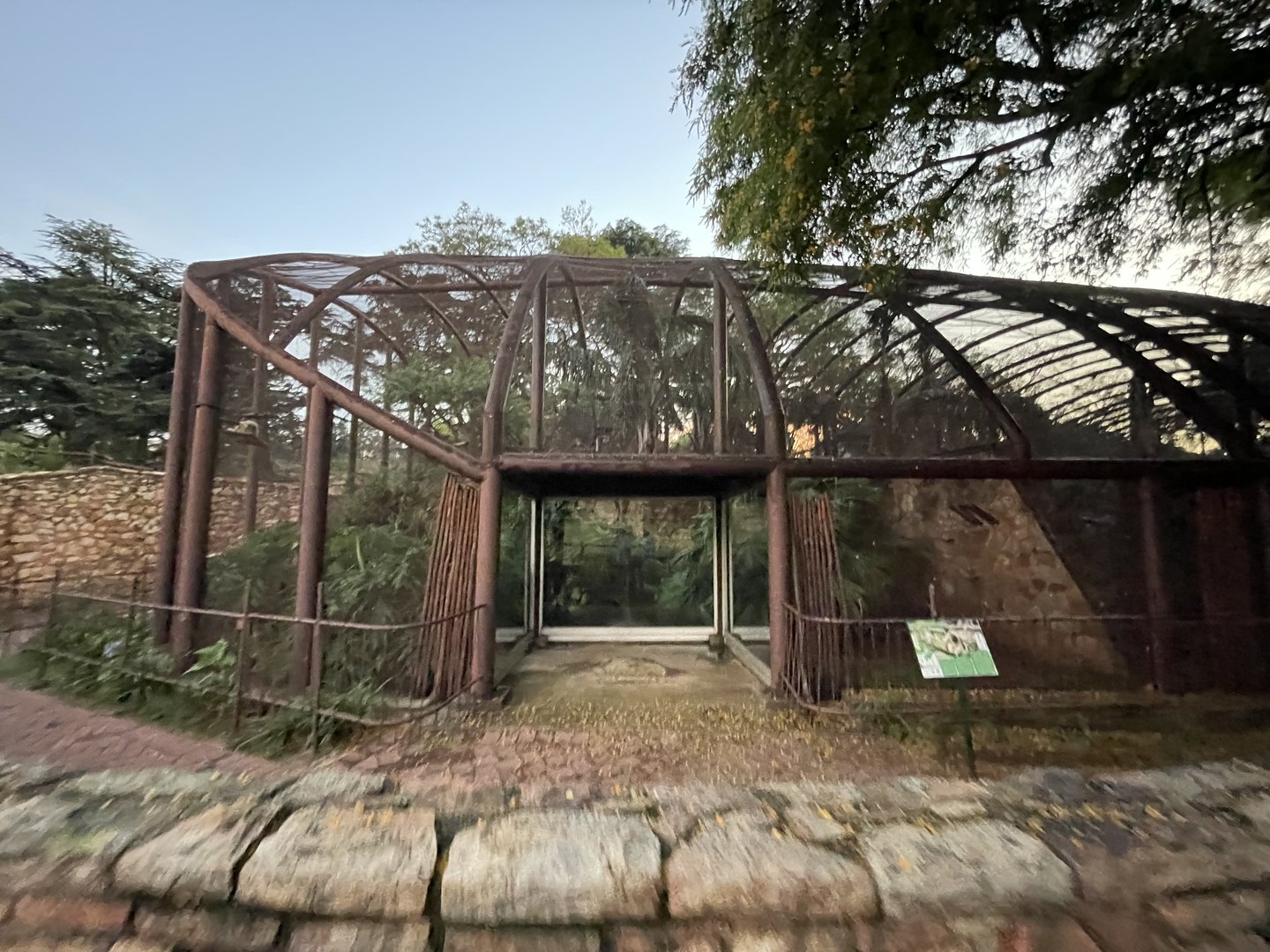 Lar Gibbon Enclosure (Hylobates lar)