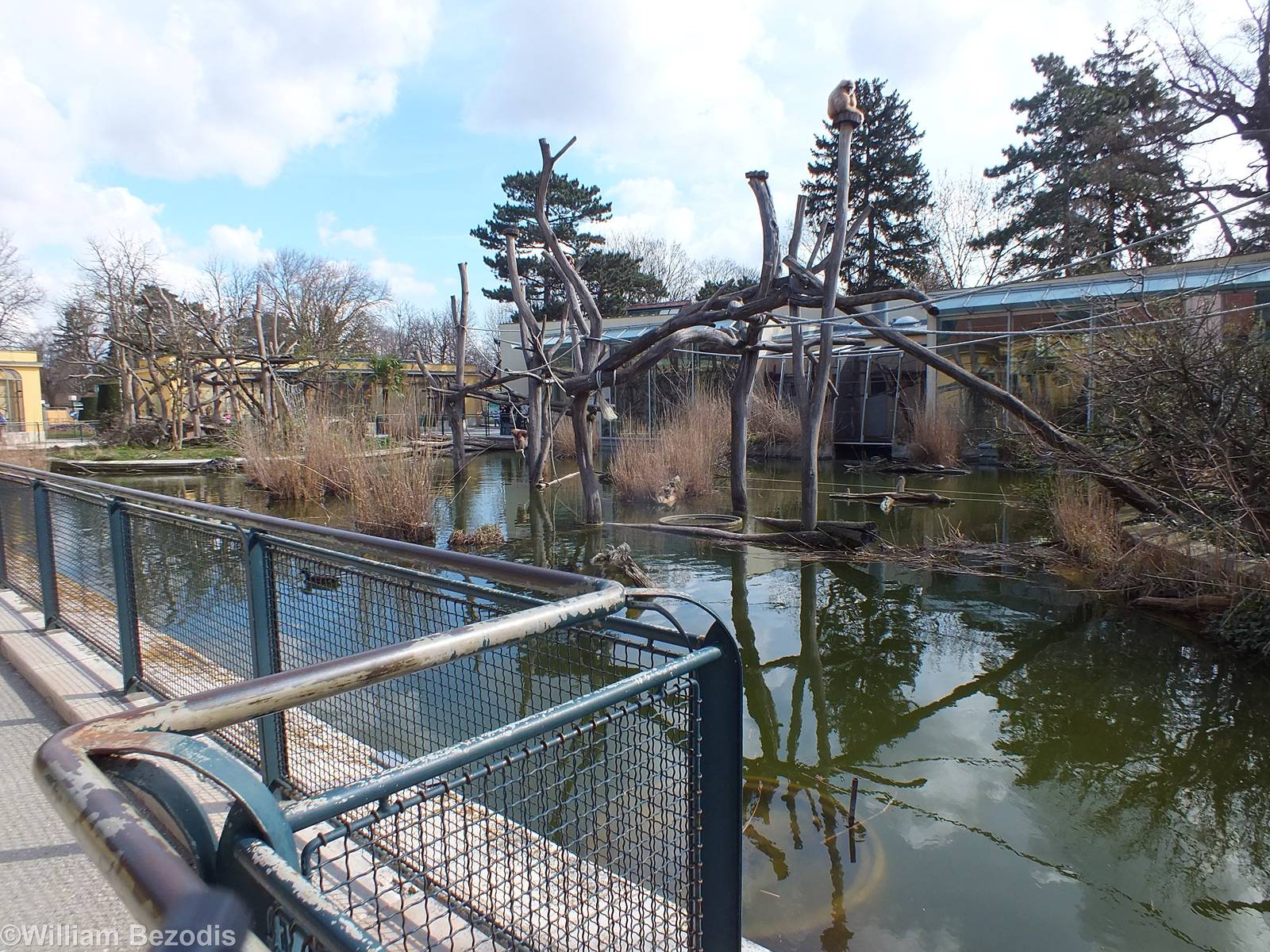 Lar Gibbon Enclosure