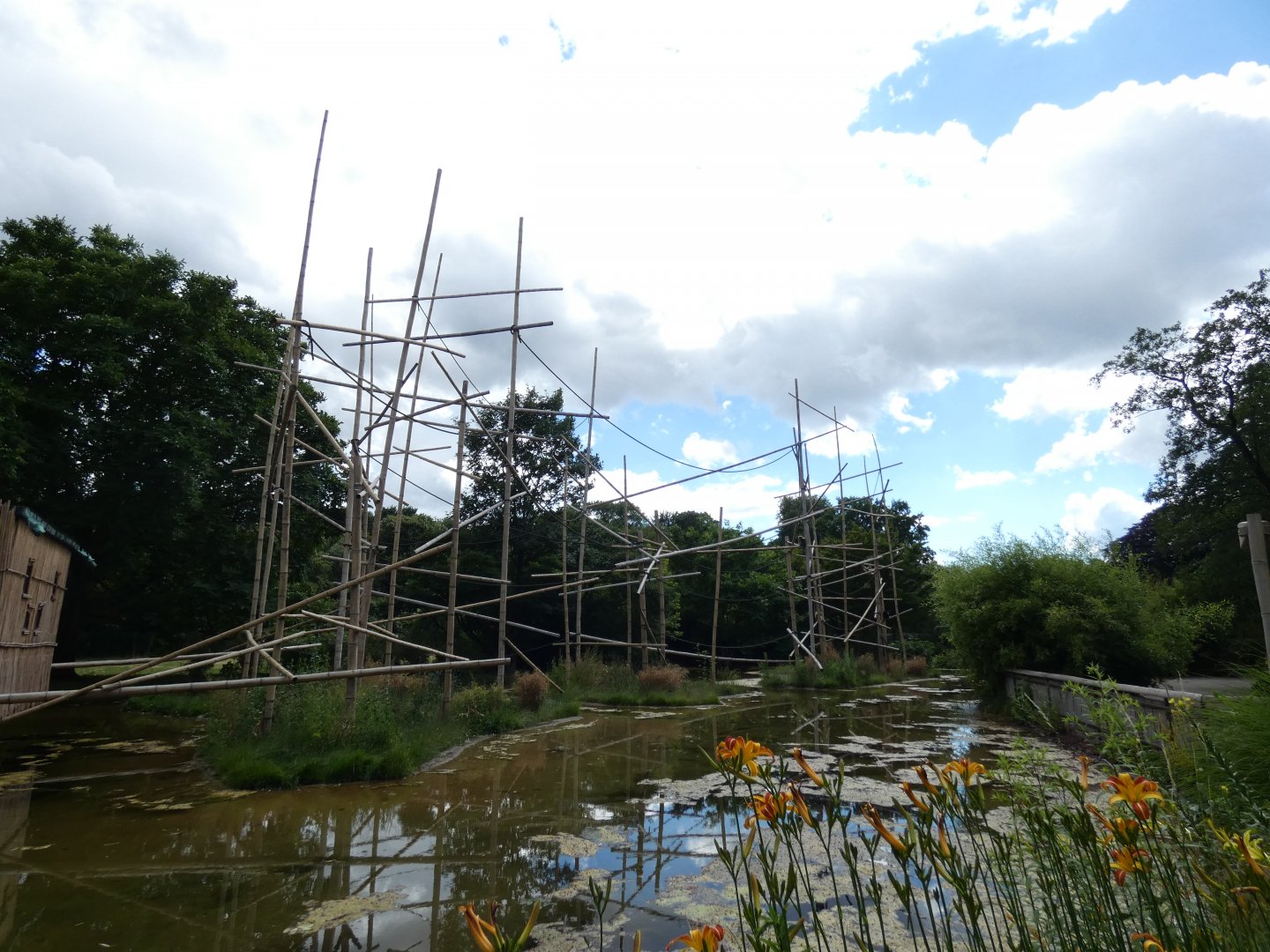 Lar Gibbon Enclosure