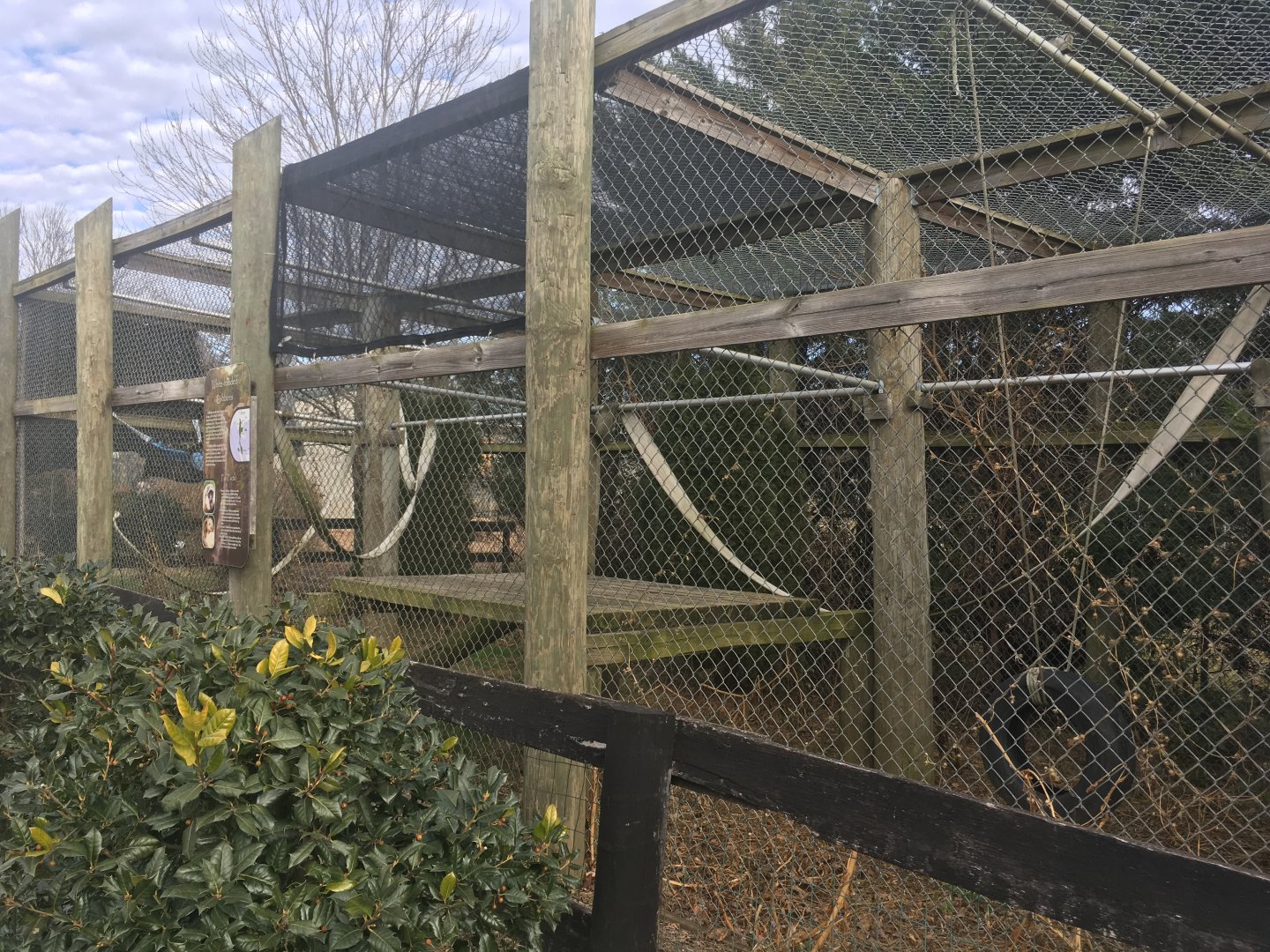 Lar Gibbon Enclosure