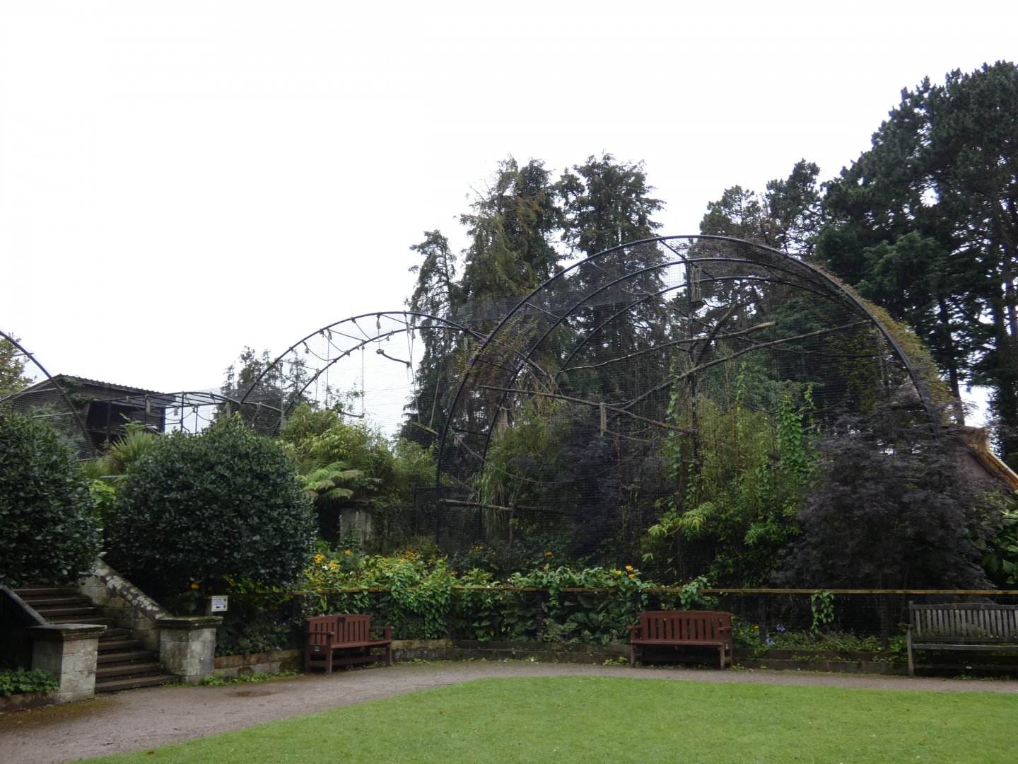 Lar Gibbon enclosure