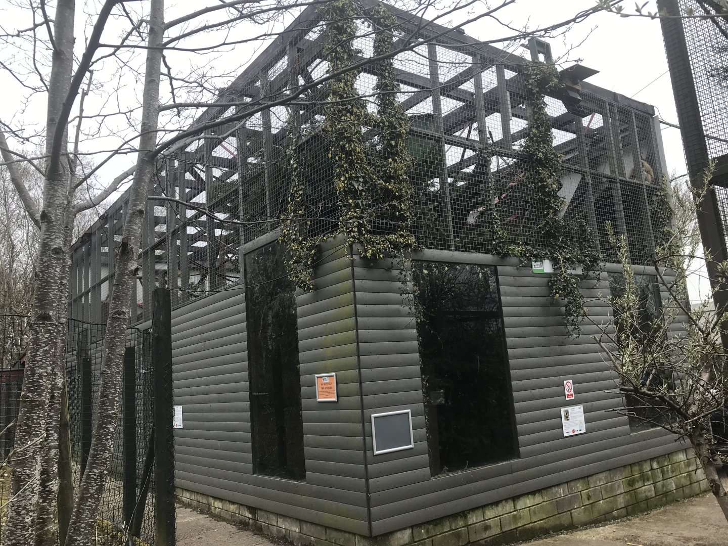 Lar gibbon enclosure