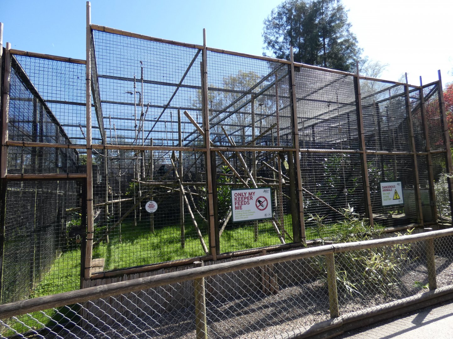 Lar gibbon enclosure