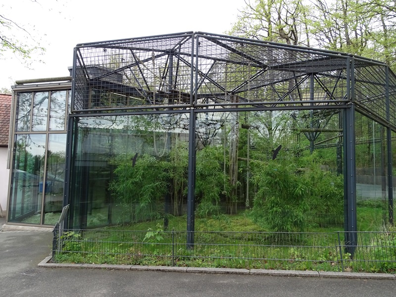 Lar gibbon enclosure