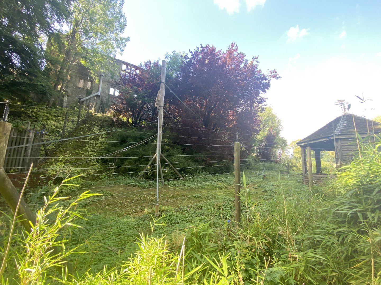 Lar gibbon enclosure