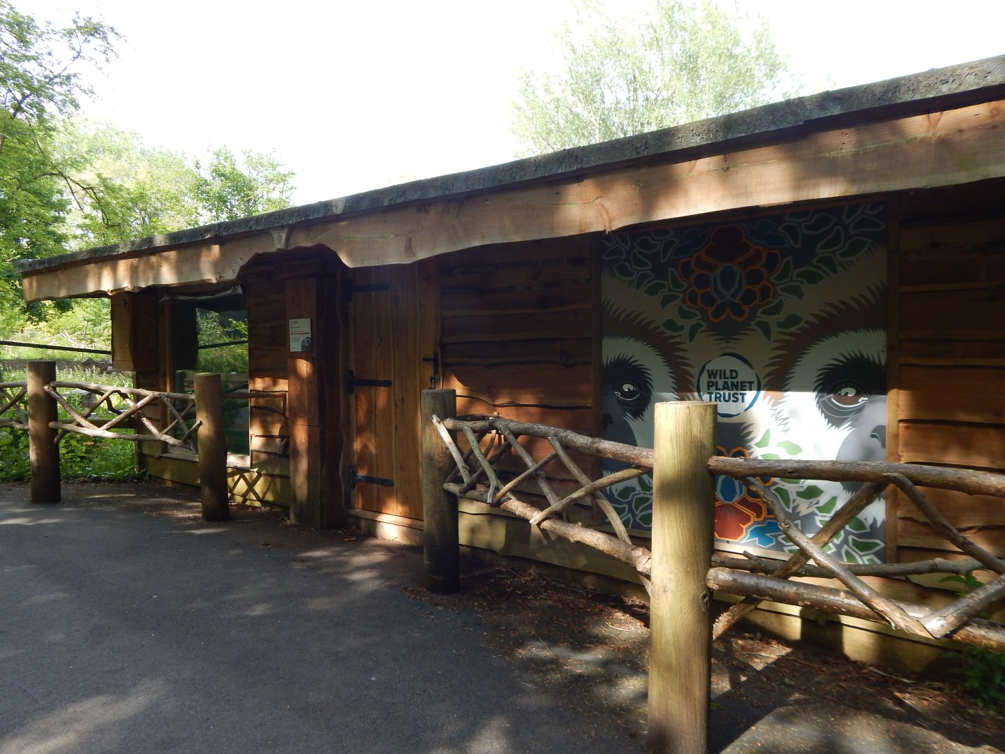 Lar gibbon exhibit 170524