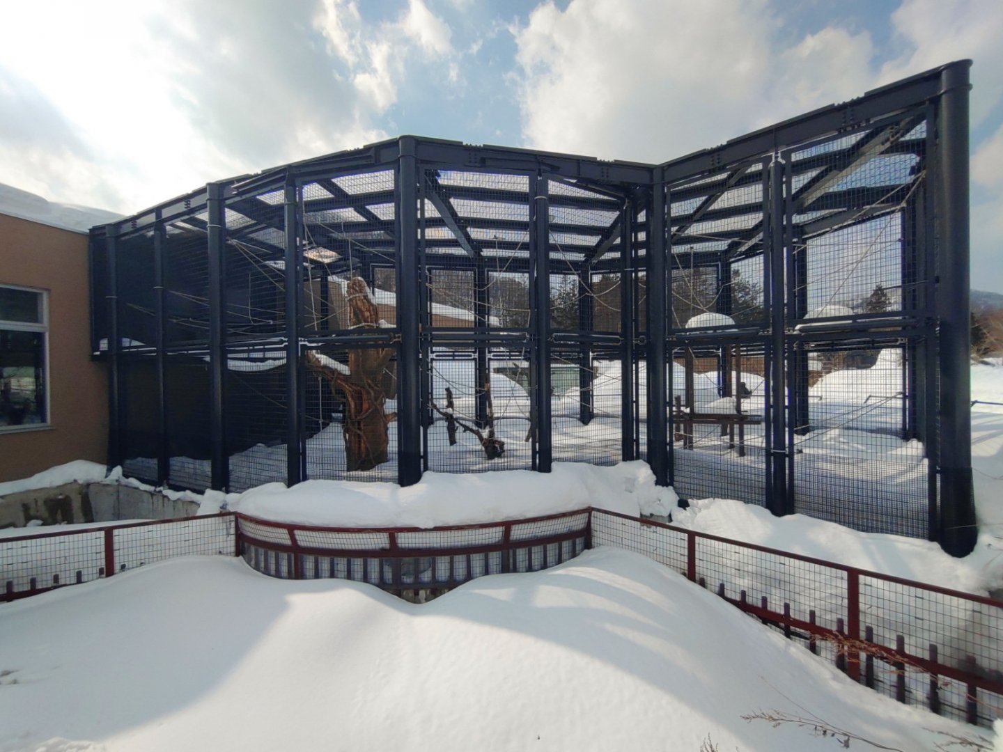 Lar Gibbon exhibit at Maruyama Zoo