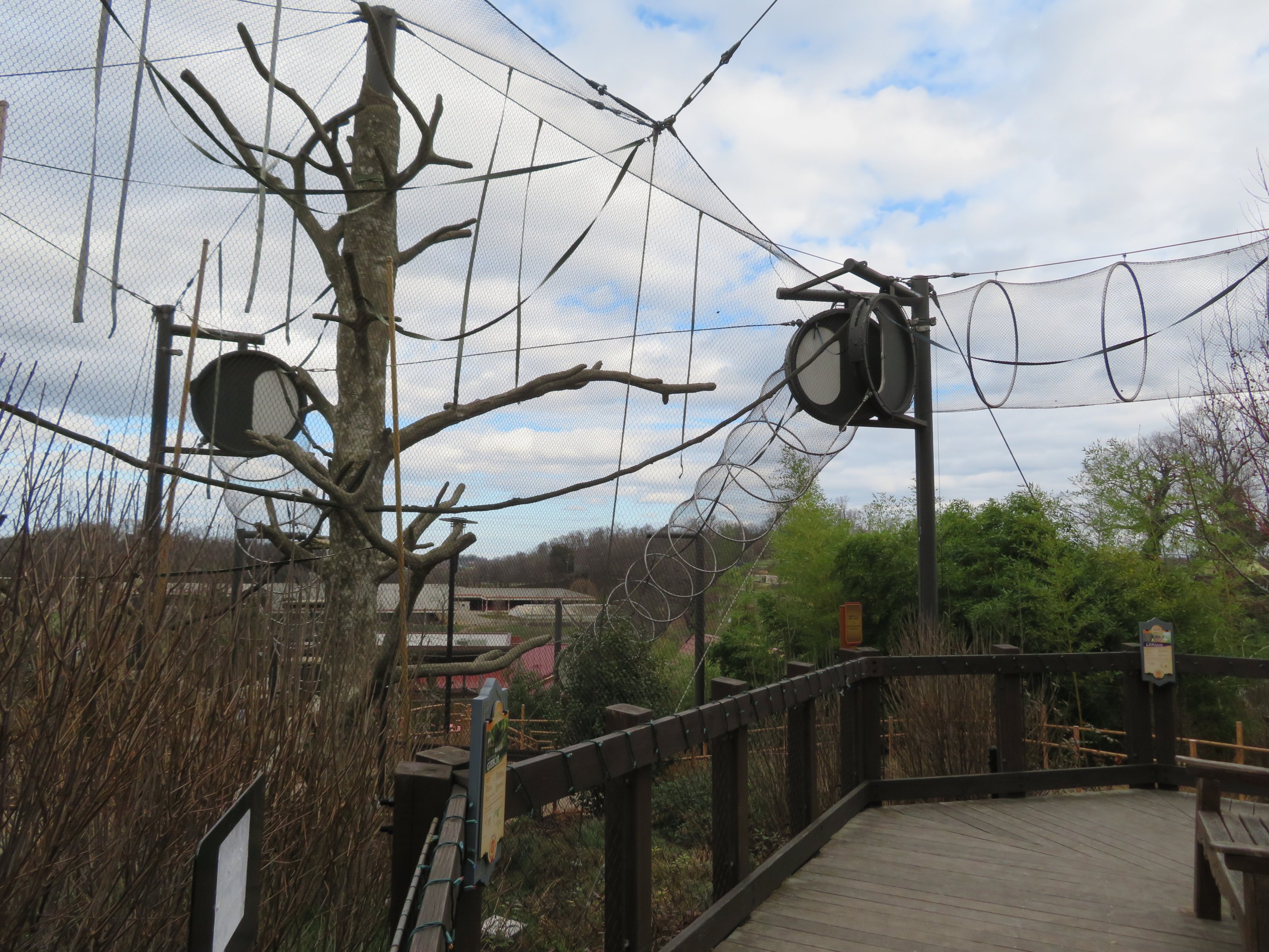 Lar Gibbon Exhibit