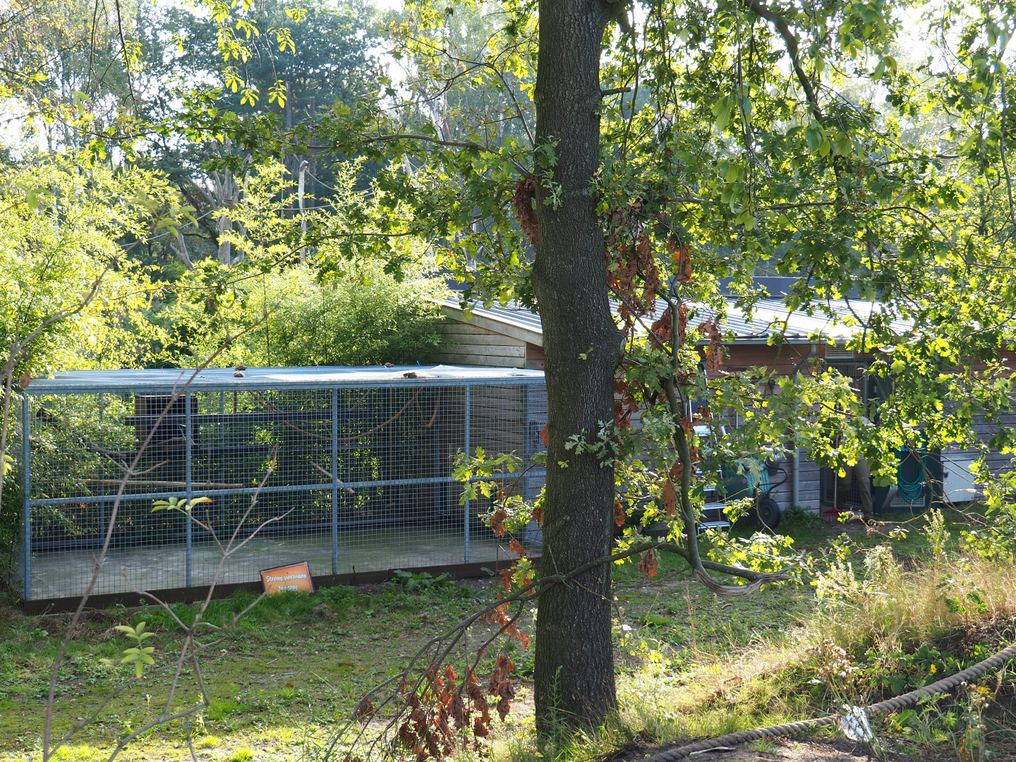 Lar gibbon house and separation cage, 2019-09-15