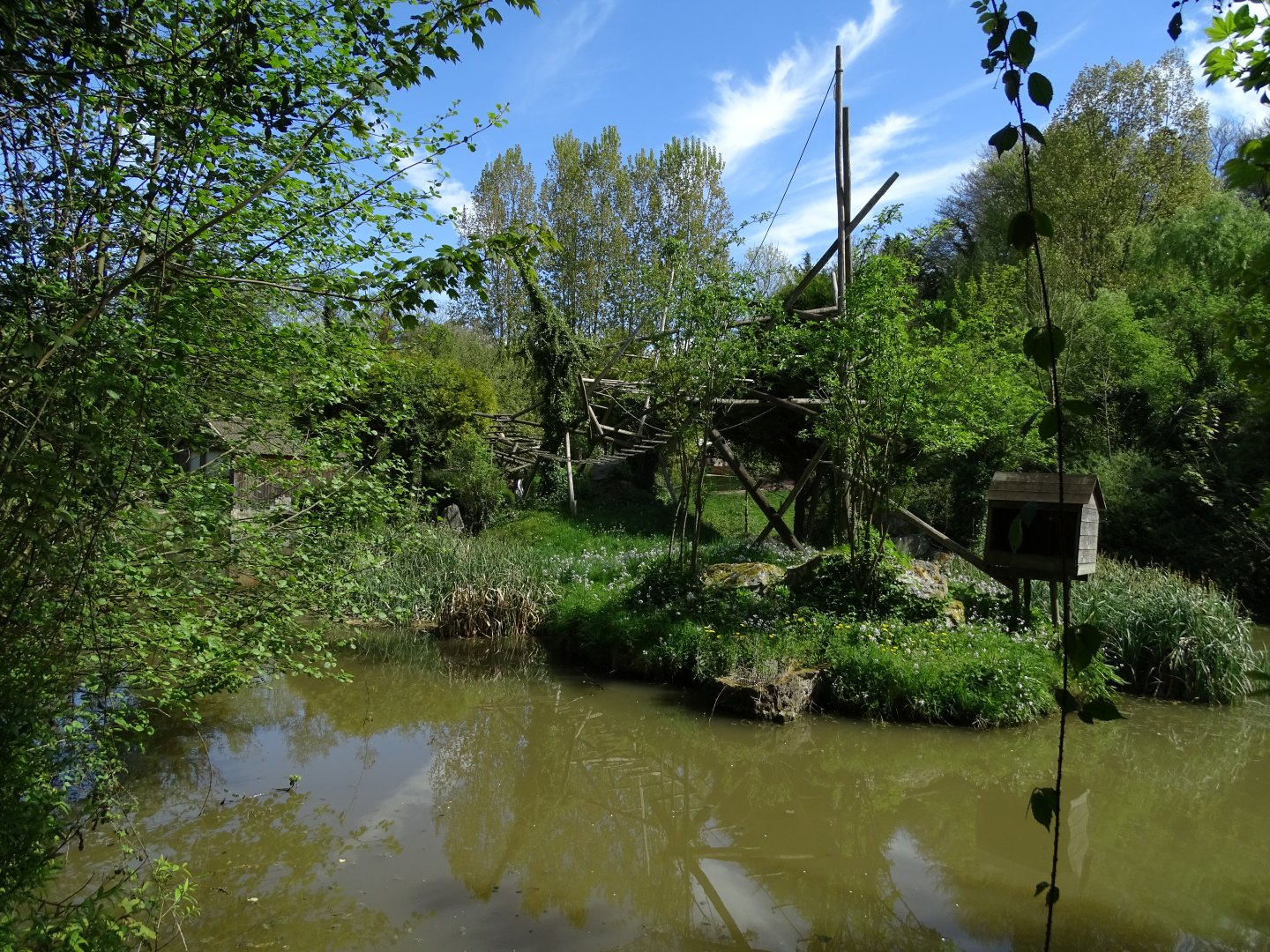 Lar gibbon (Hylobates lar) exhibit