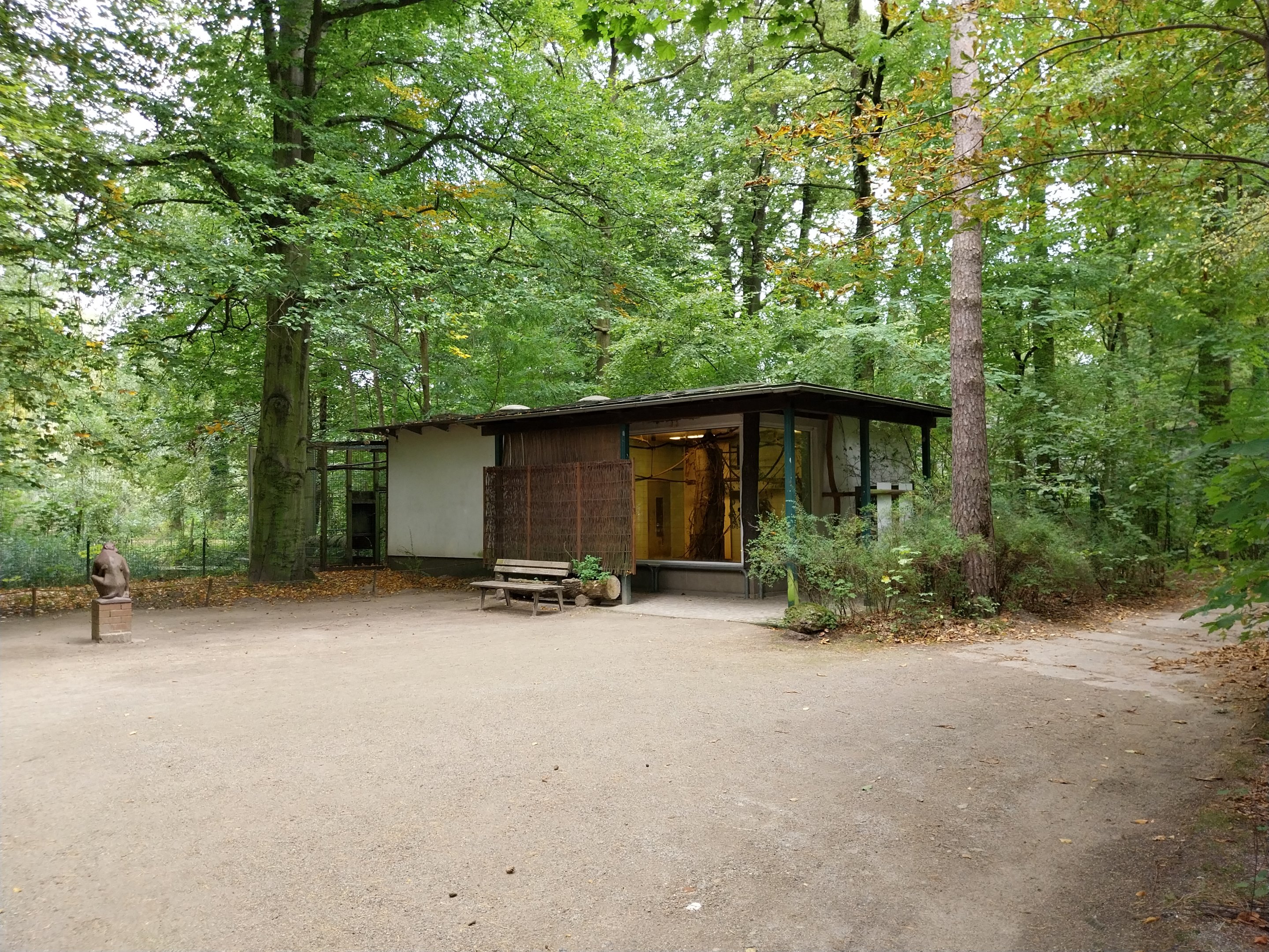 Lar Gibbon (Hylobates lar) House