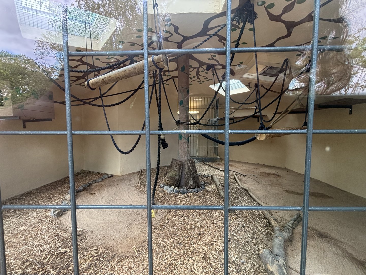 Lar Gibbon Indoor Enclosure at Zoologischer Garten Hof