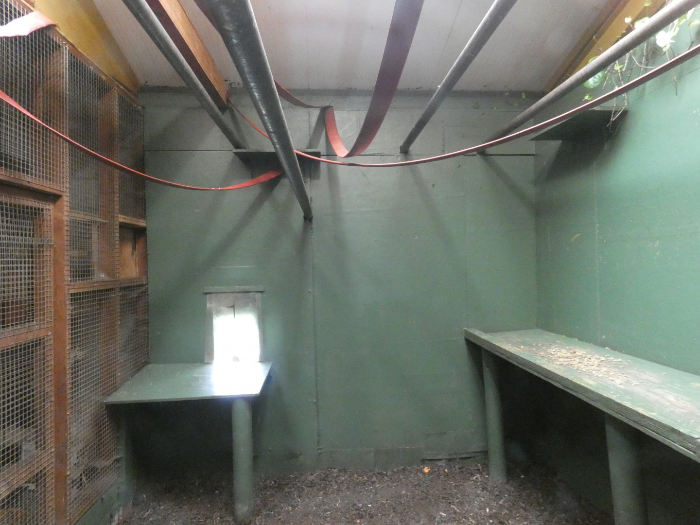 Lar gibbon indoor enclosure