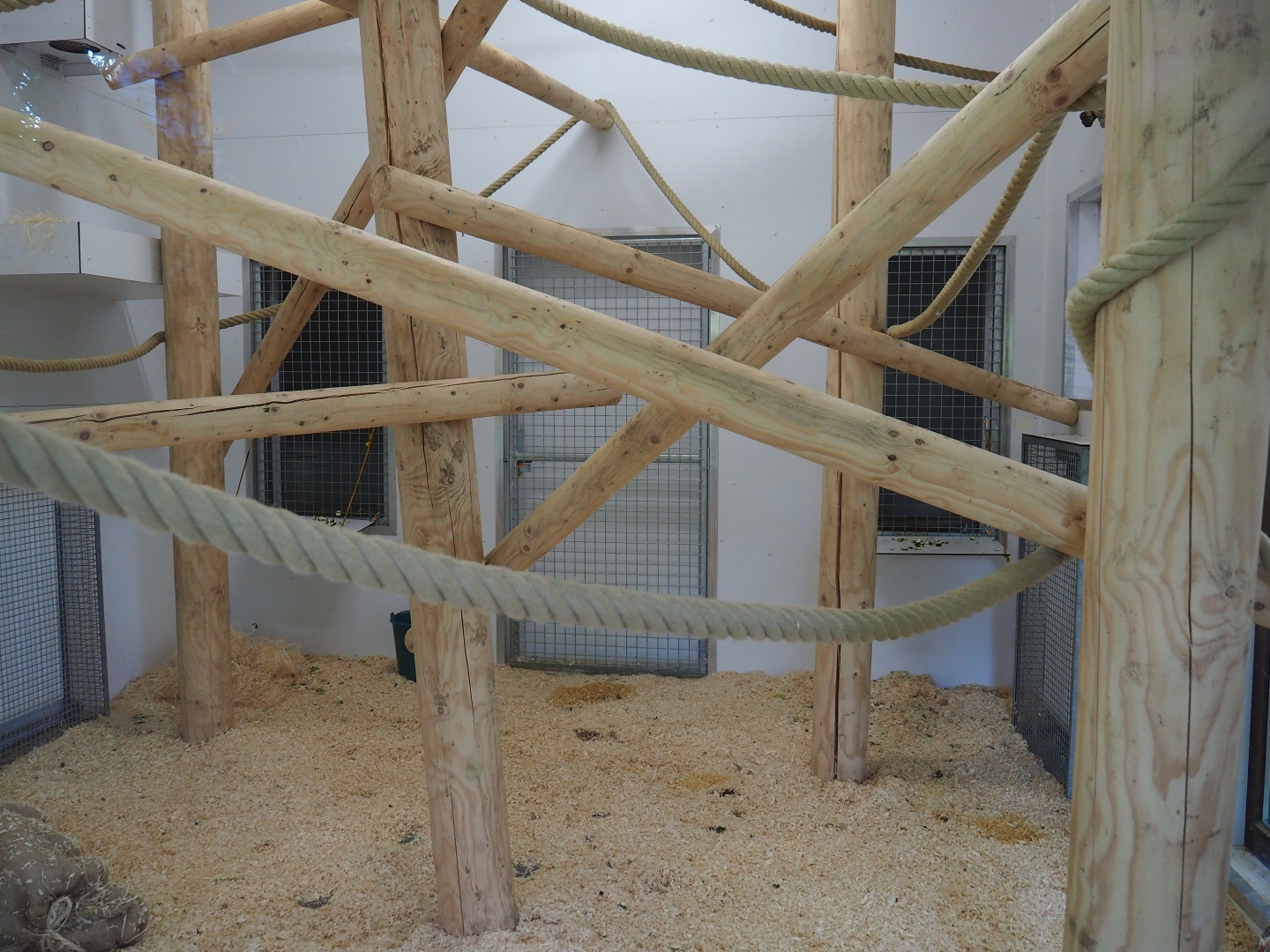 Lar gibbon indoor housing