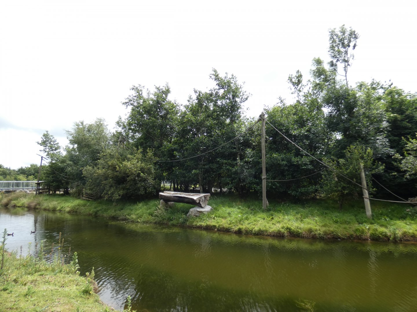 Lar gibbon island (2)