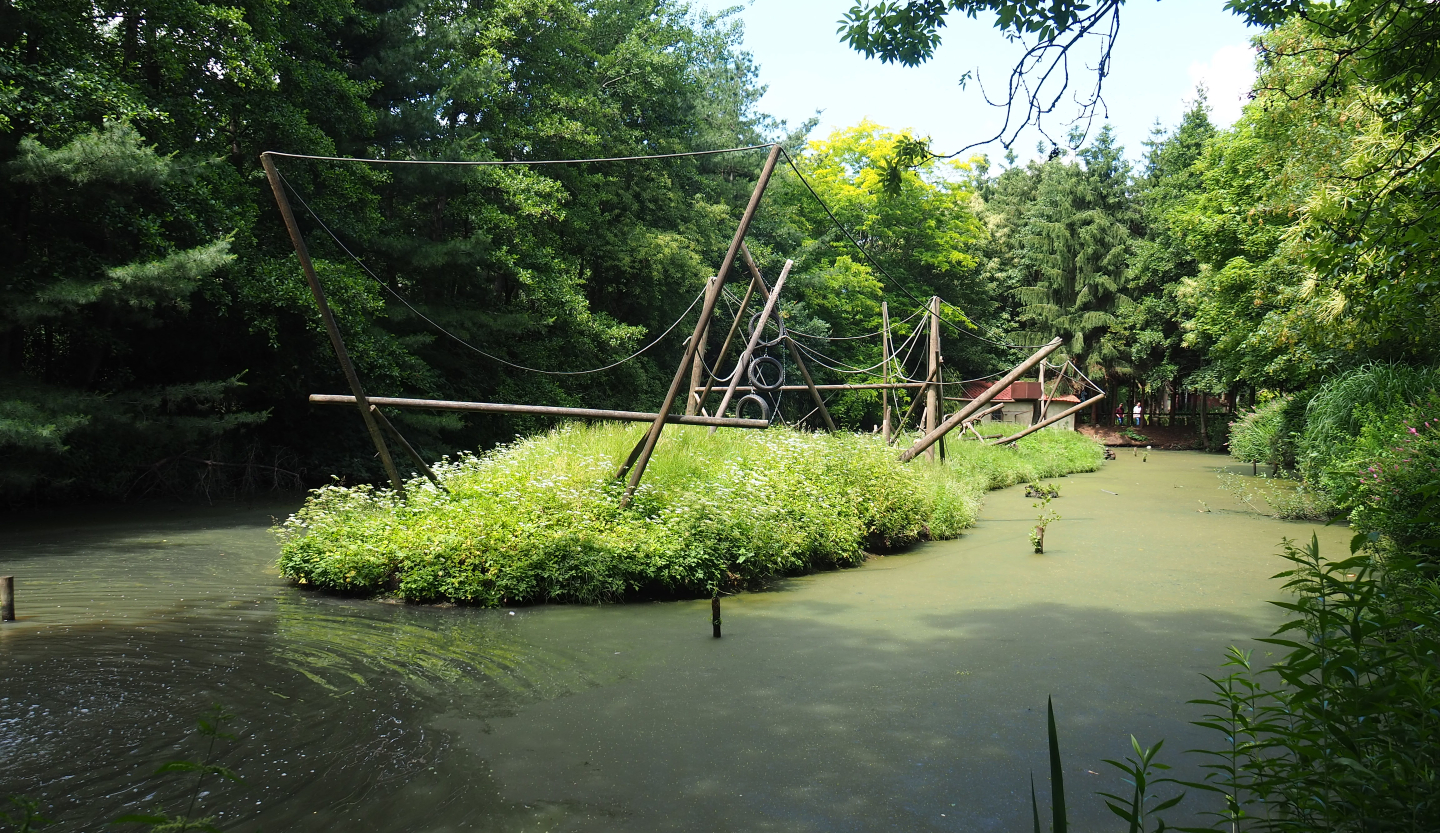 Lar gibbon island, 2020-06-20