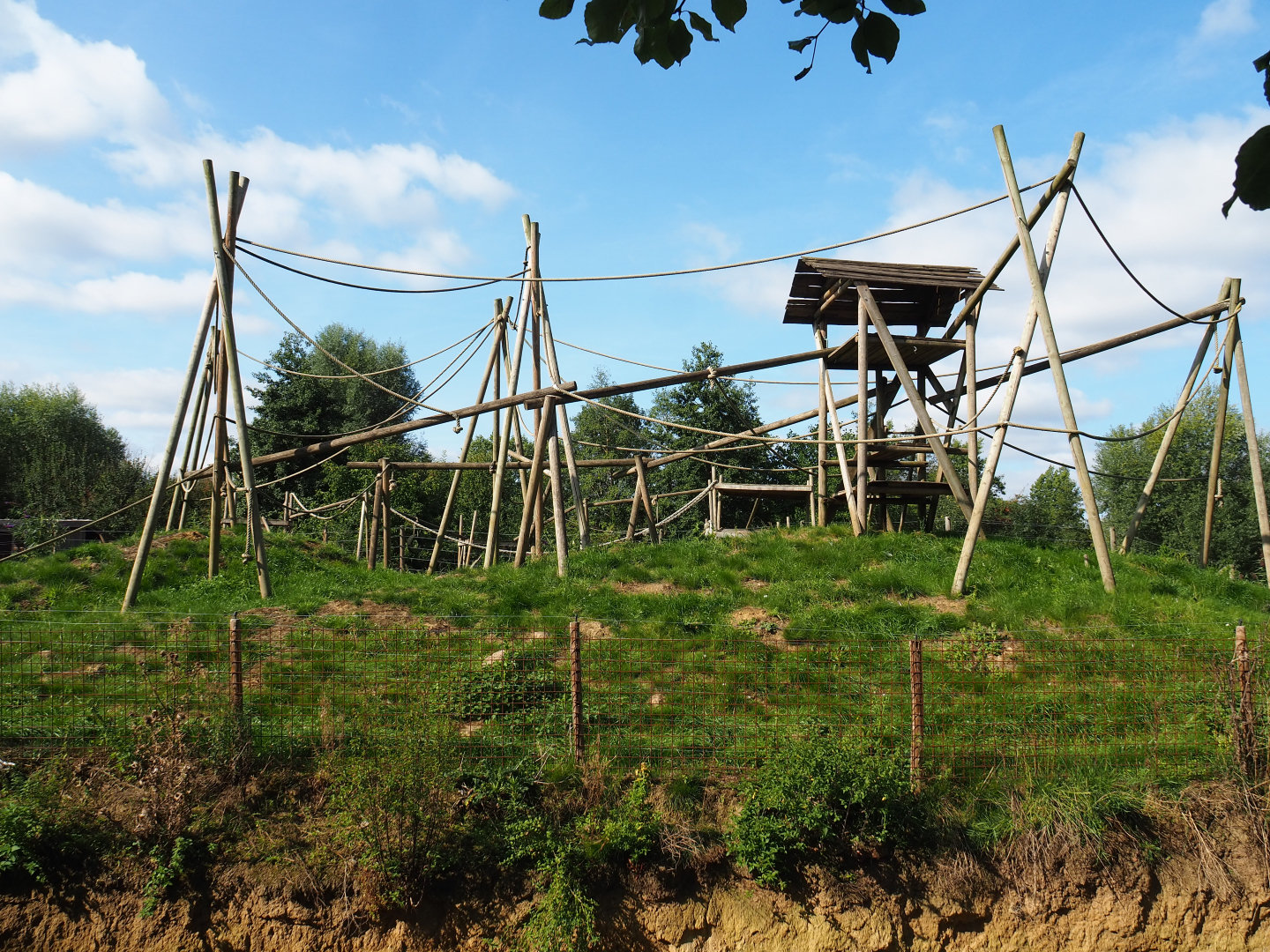 Lar gibbon island, 2020-09-12