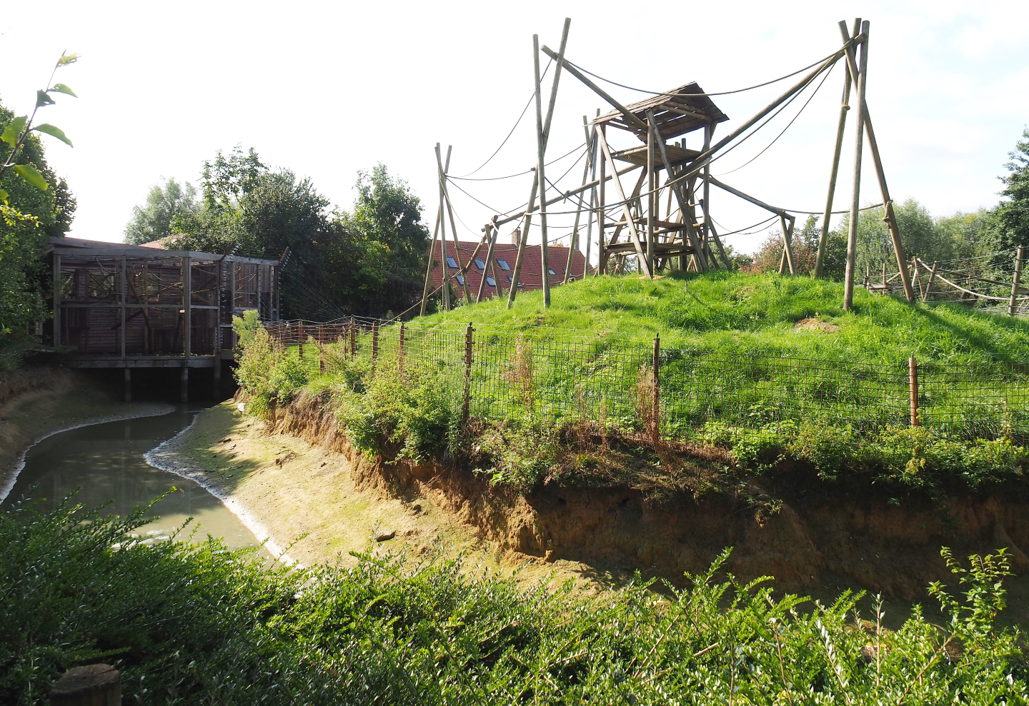 Lar gibbon island, 2020-09-12