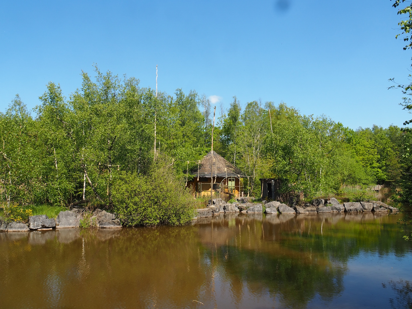 Lar gibbon island, 2023-05-19