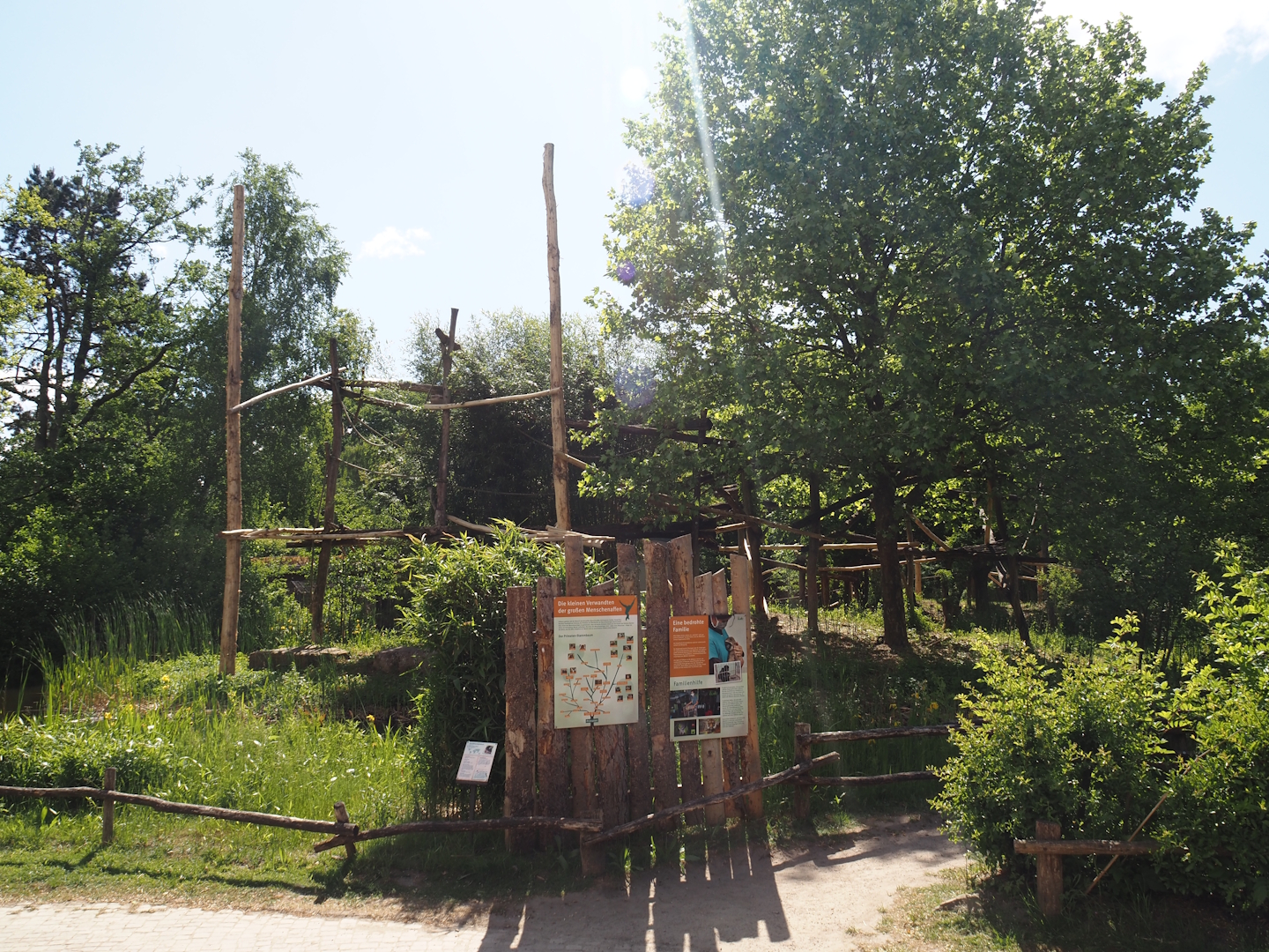 Lar gibbon island, 2025-05-22