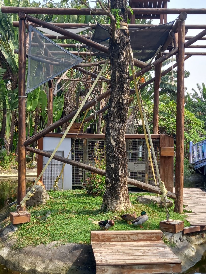 Lar Gibbon island, Jingyuan Farm and Leisure Park