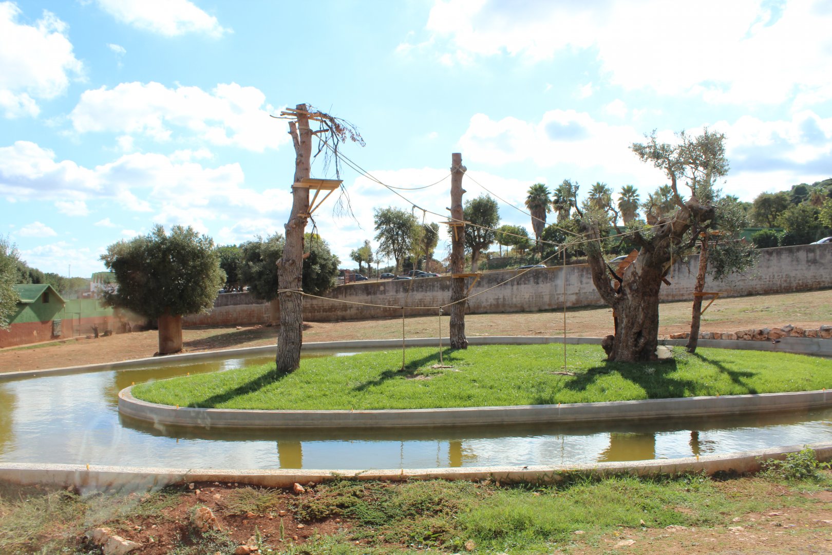 Lar Gibbon Island (within Asiatic Black Bear Reserve) - Oct 2019