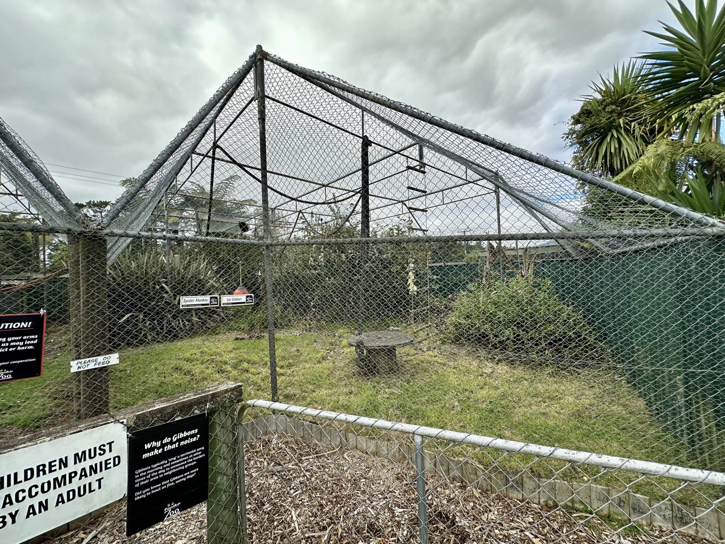 Lar Gibbon/Spider Monkey Exhibit