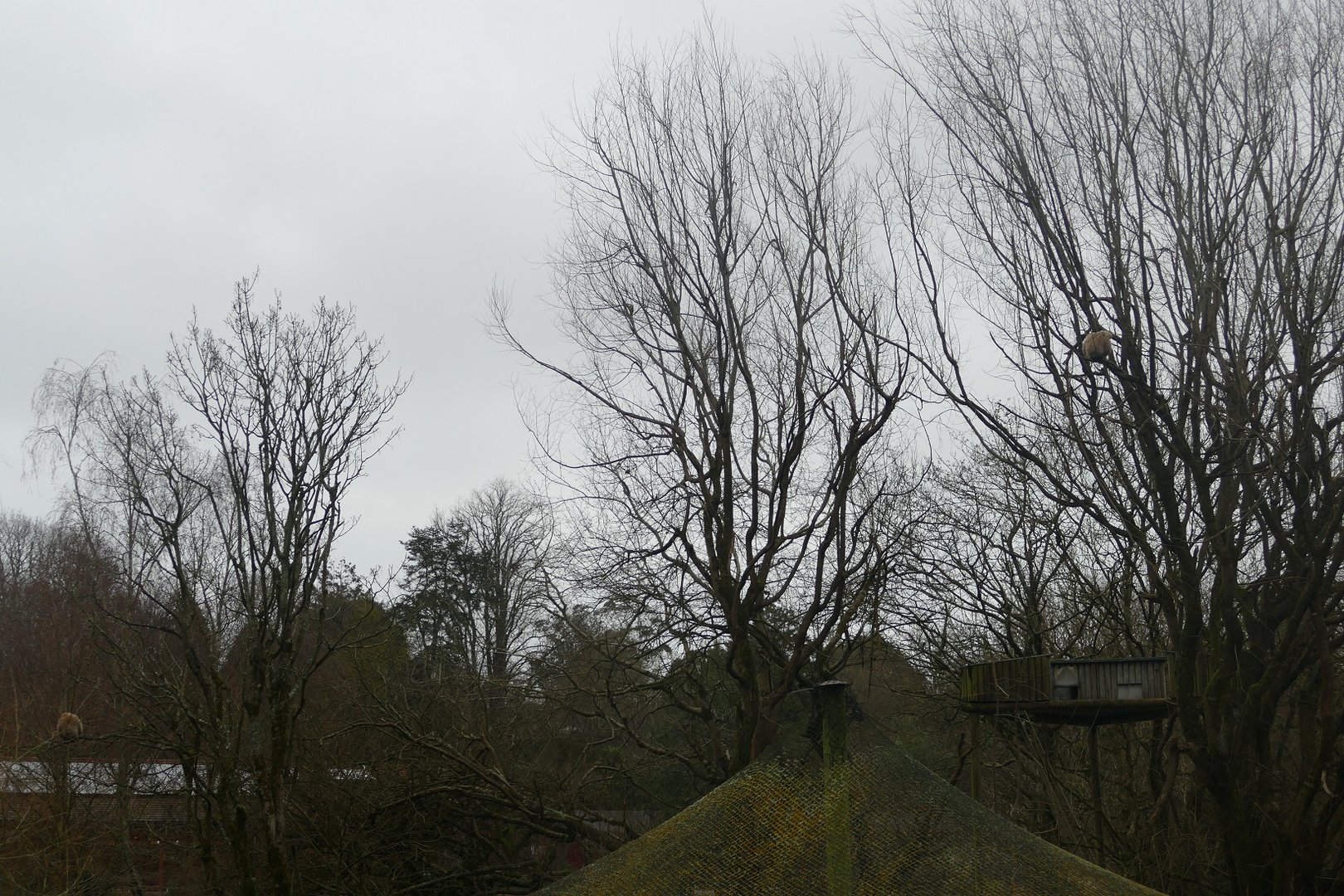 Lar Gibbons, 5 January 2023