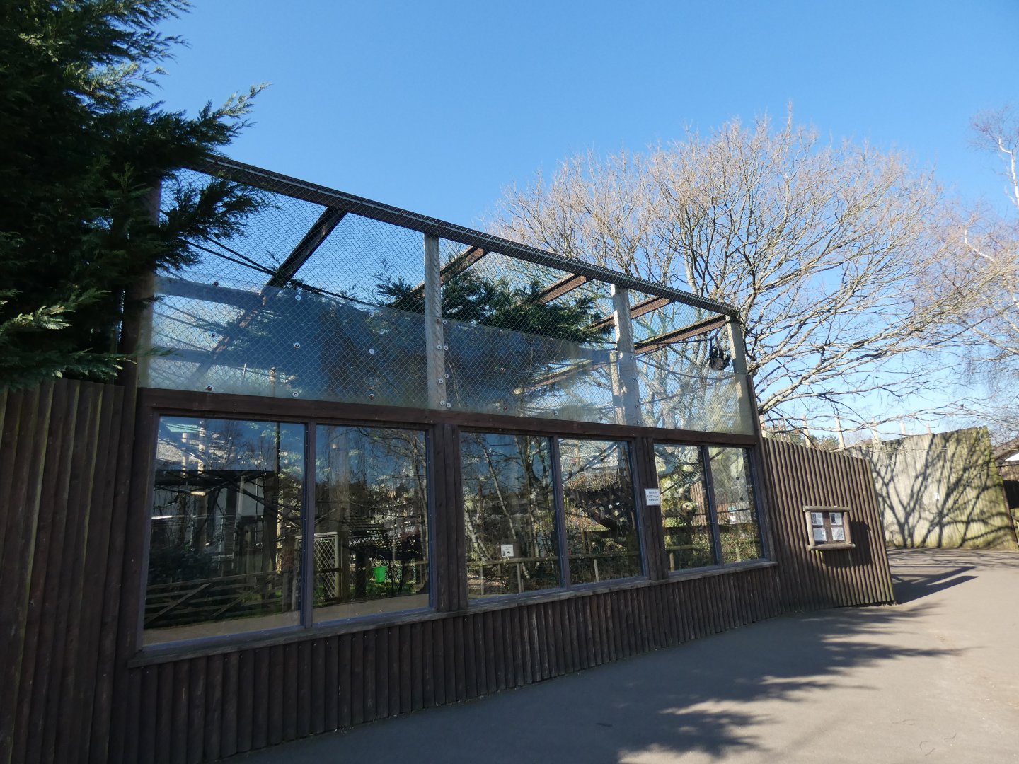 Lar/Mueller's Gibbon enclosure